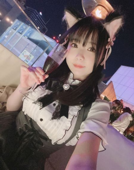 极地守护犬【影视解说】-免费正片韩国电影在线