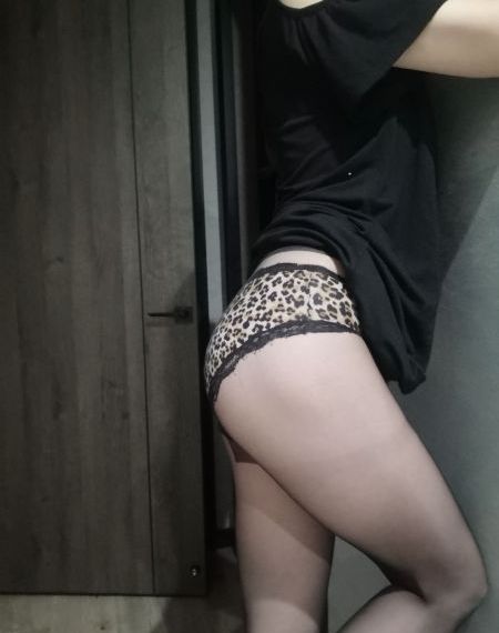 我的宠物是大象-全集手机神马影院