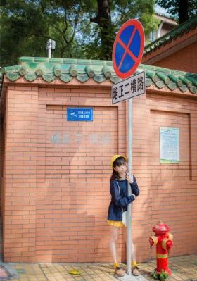 山炮进城2-免费追剧国语迅雷下载