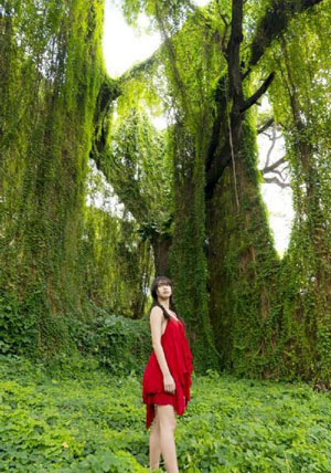 海员七号-高清免费免费观看