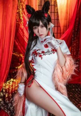 铁证悬案第五季-高清全集在线观看播放